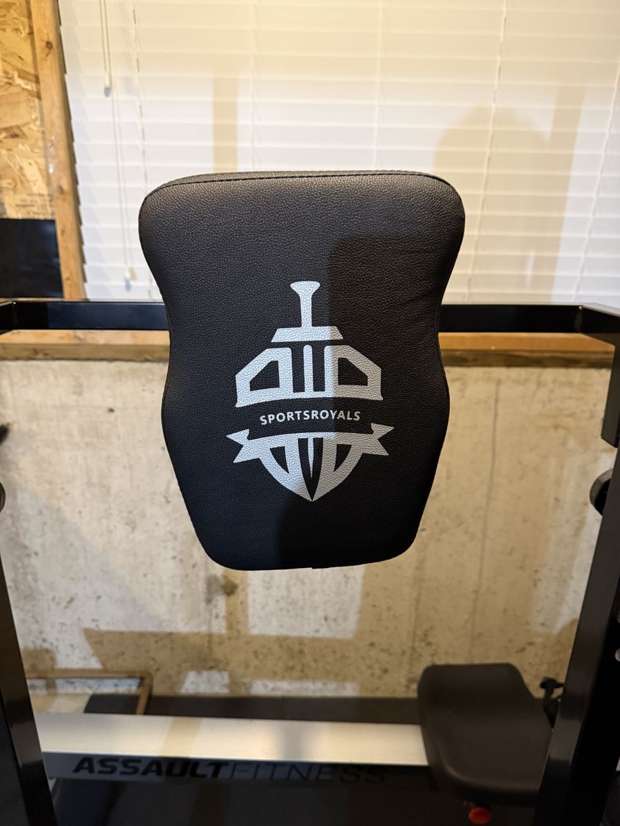 SportRoyals Power Tower $25