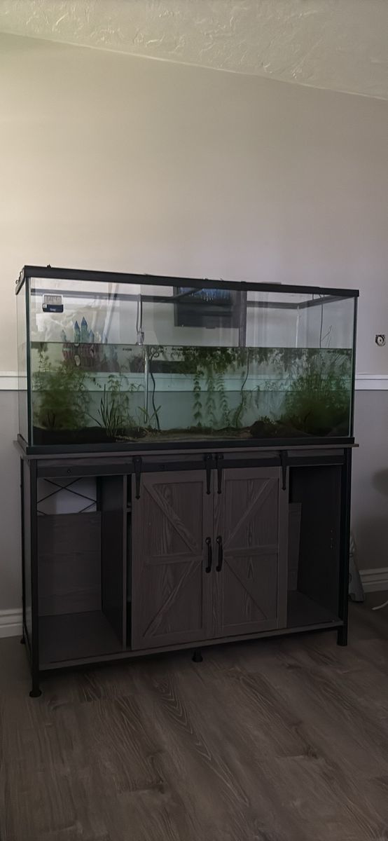 75g fish tank