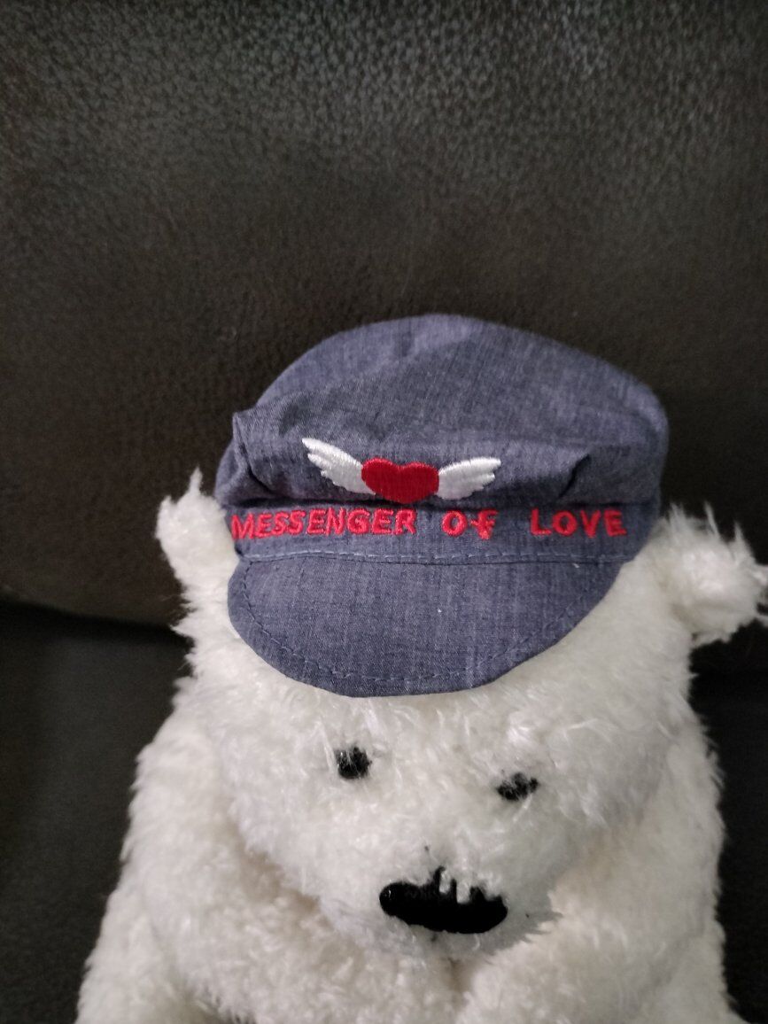 Teddy Bear Messenger of Love