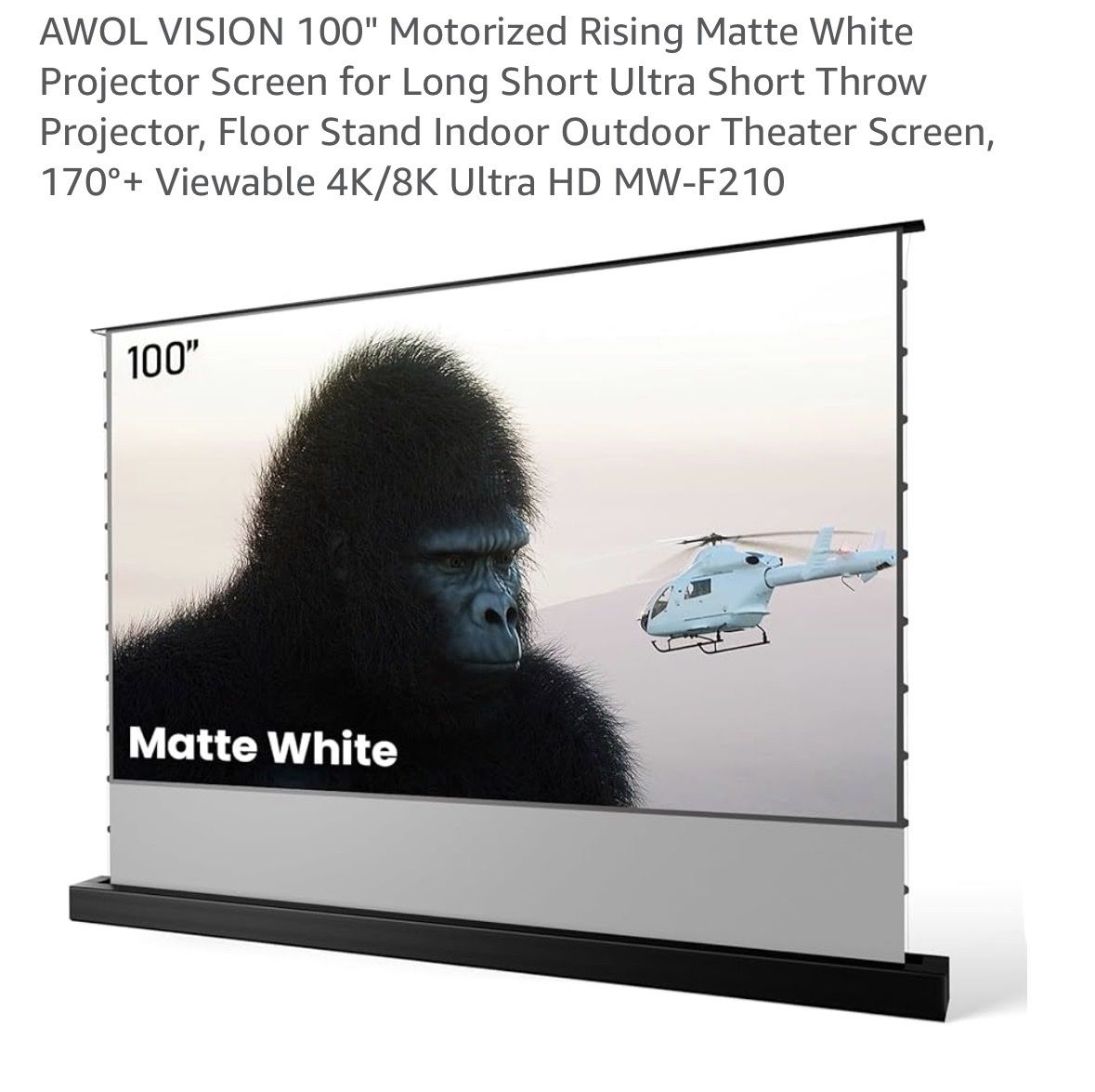 100” MOTORIZED PROJECTOR SCREEN