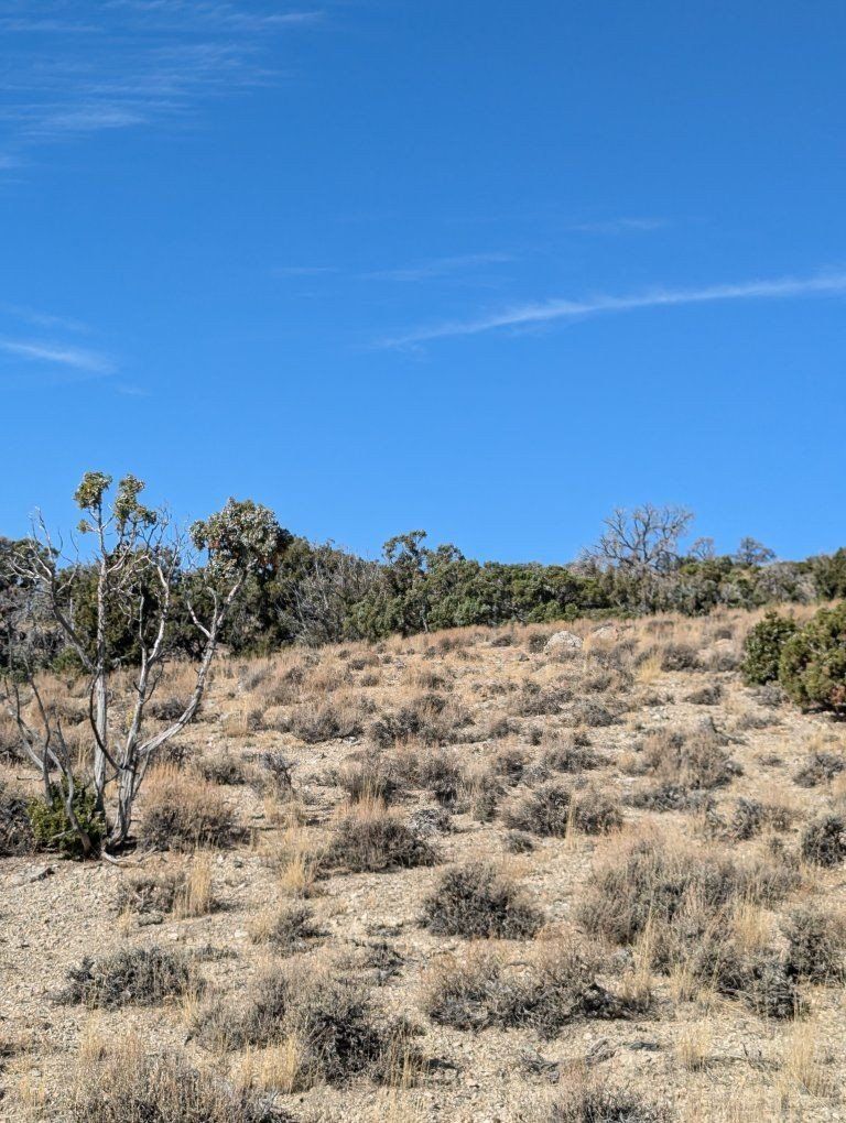 Main image 9
