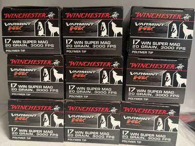 17wsm ammo