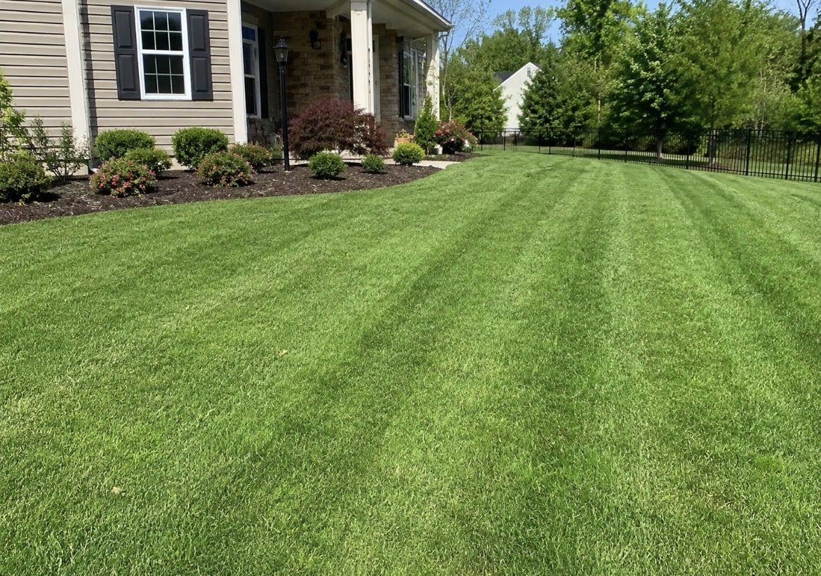 Lawn Mower