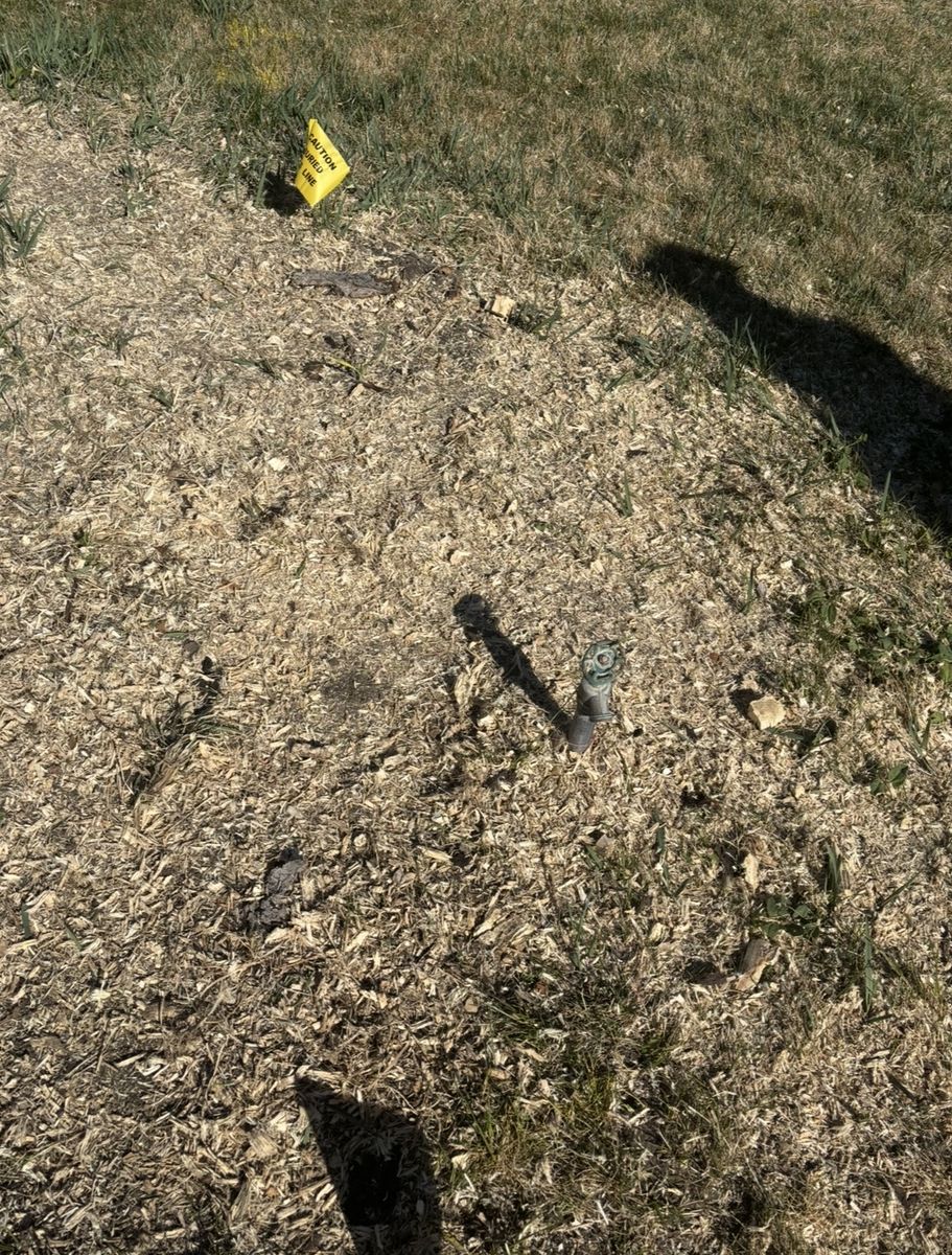 Main image 8