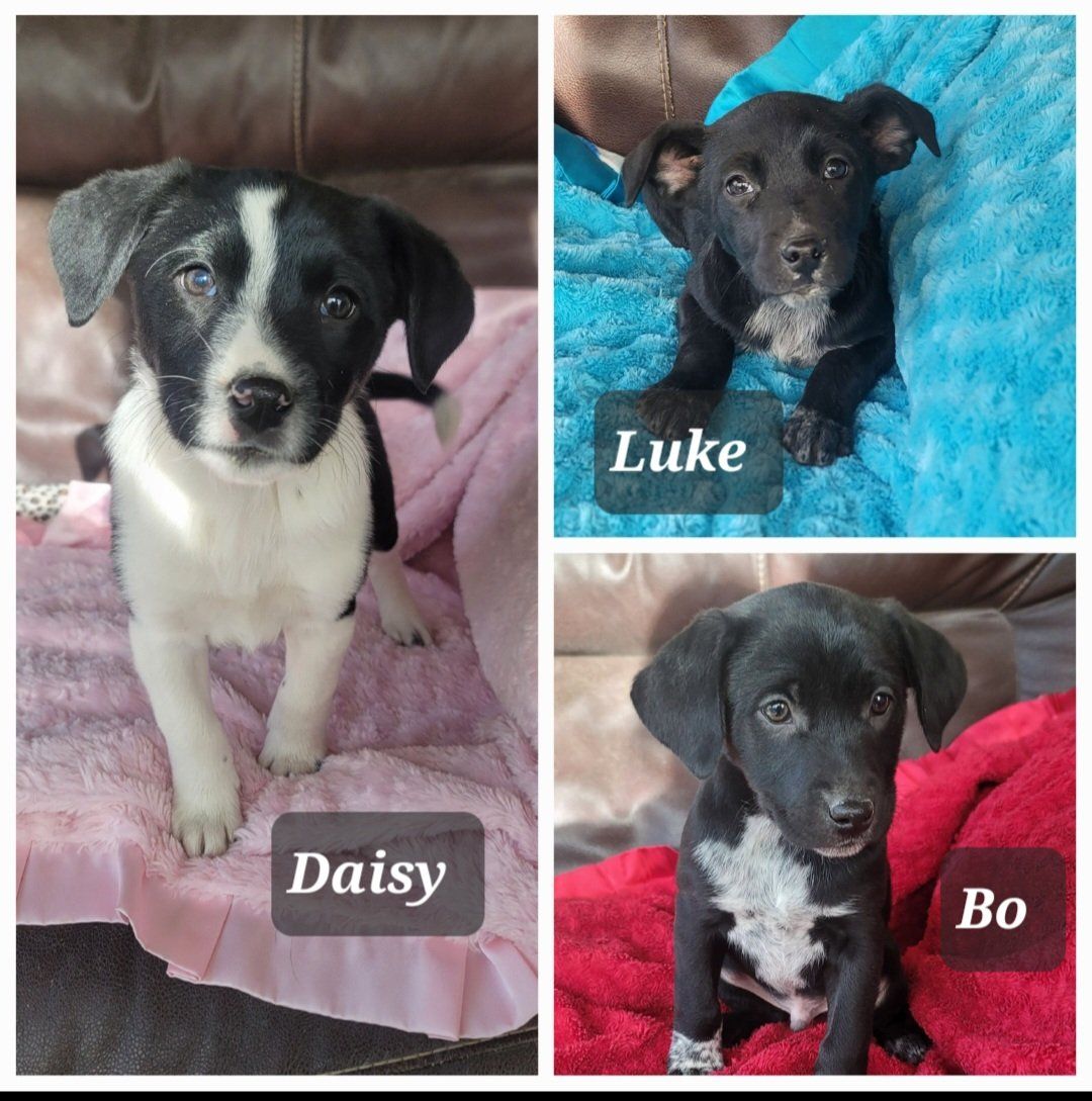 Warning: You Will Fall in Love