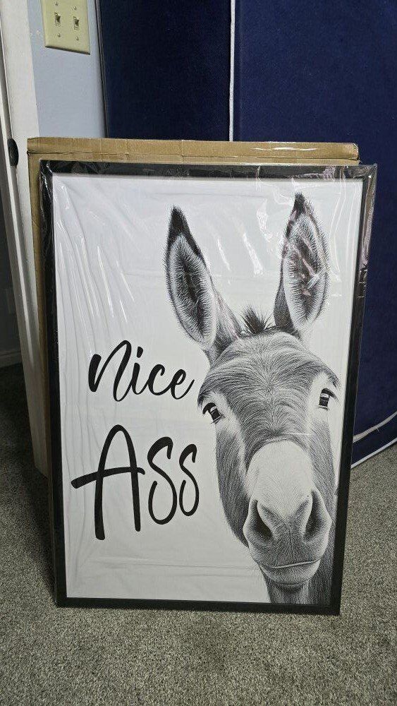 New, Lightweight, 24x36 painting picture