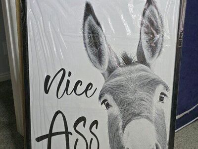 New, Lightweight, 24x36 painting picture