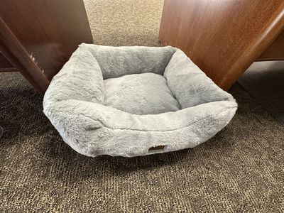 Dog Bed