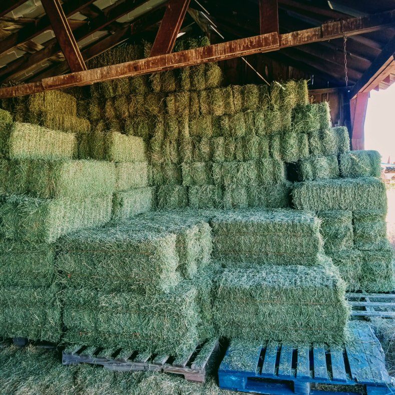 hay
