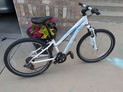 Specialized Hot Rock Mtn Bike. 24" Wheels