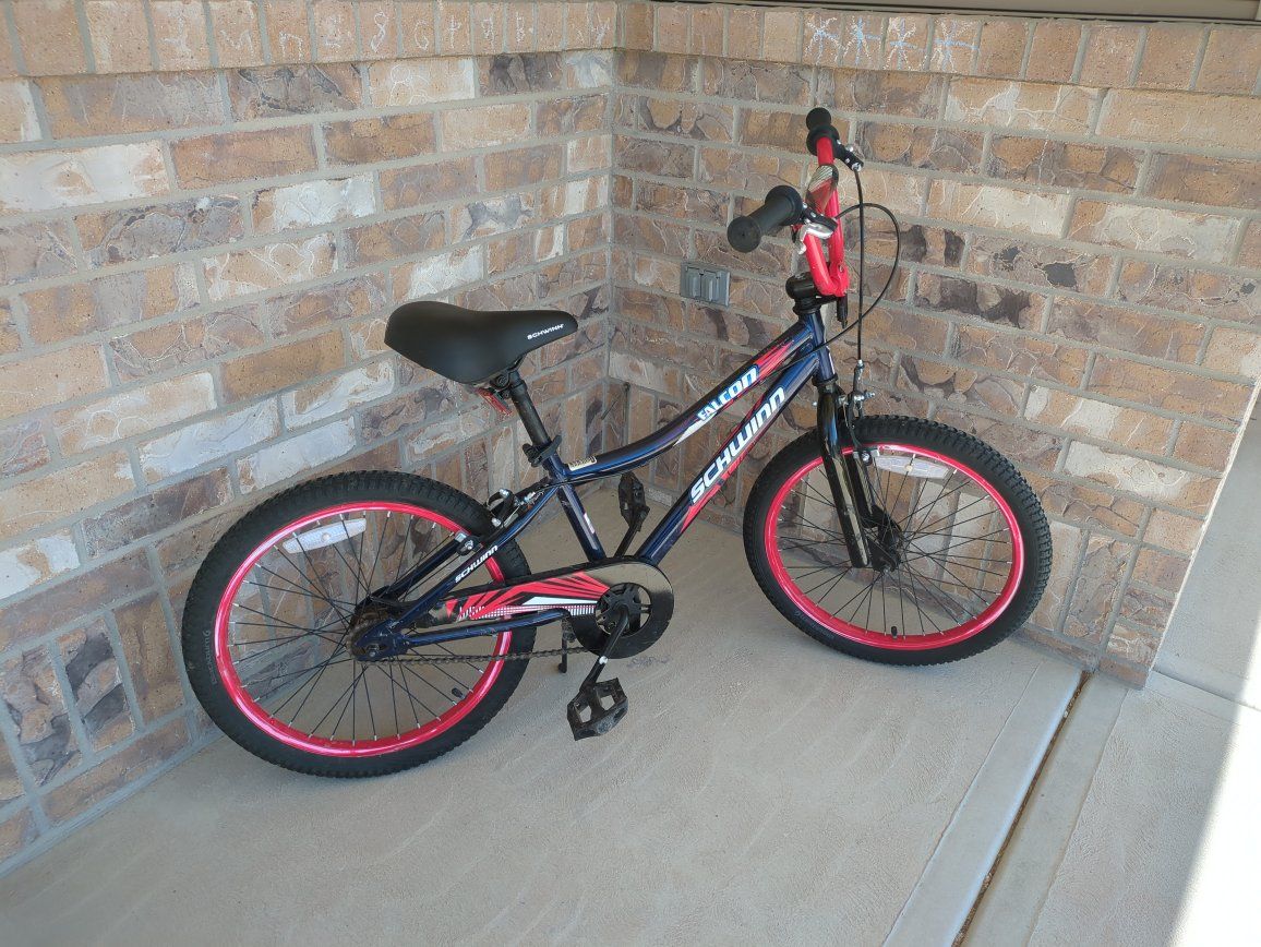 20 inch youth bicycle with coaster and hand brakes
