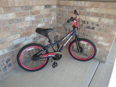 20 inch youth bicycle with coaster and hand brakes
