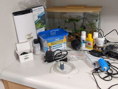 3 gallon fish tank bundle