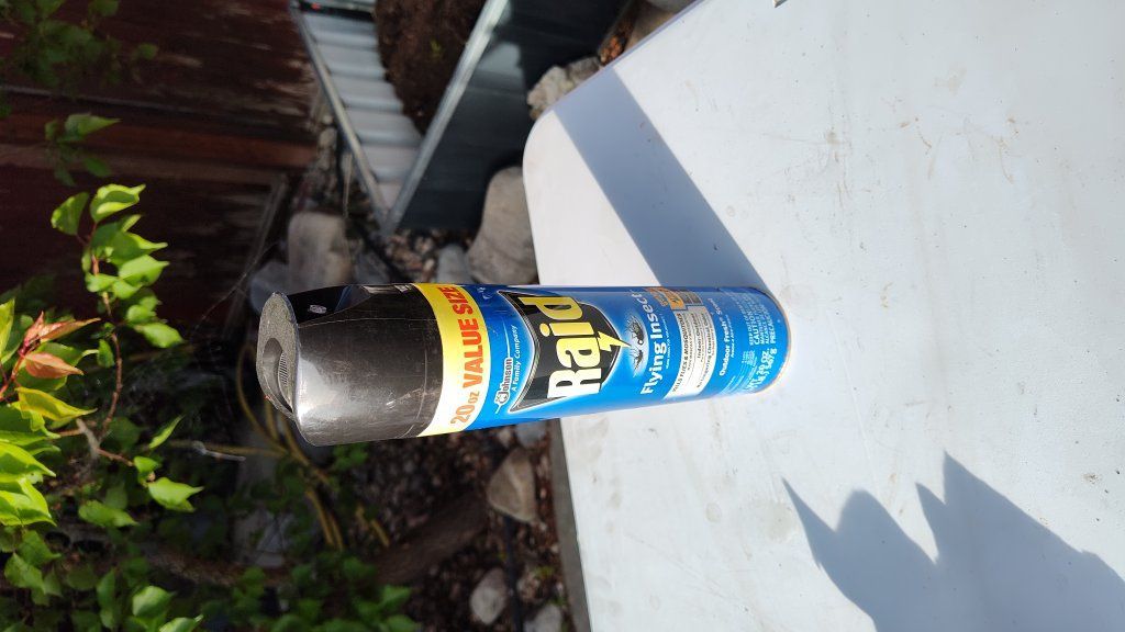 full can of Raid flying insect killer