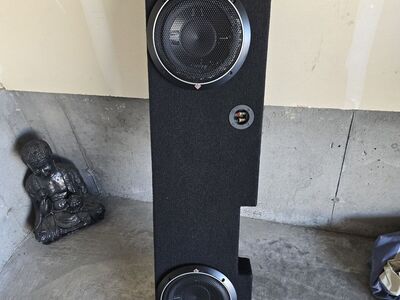2 Rockford Fosgate 10" P3 subwoofer in box