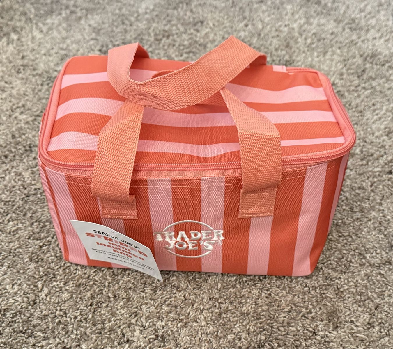 Trader Joe’s Mini Insulated Bag