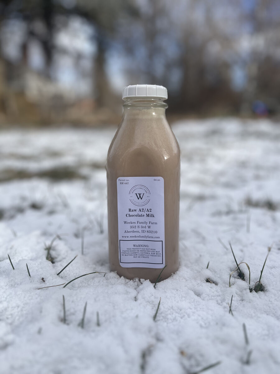 Raw A2/A2 Chocolate Milk