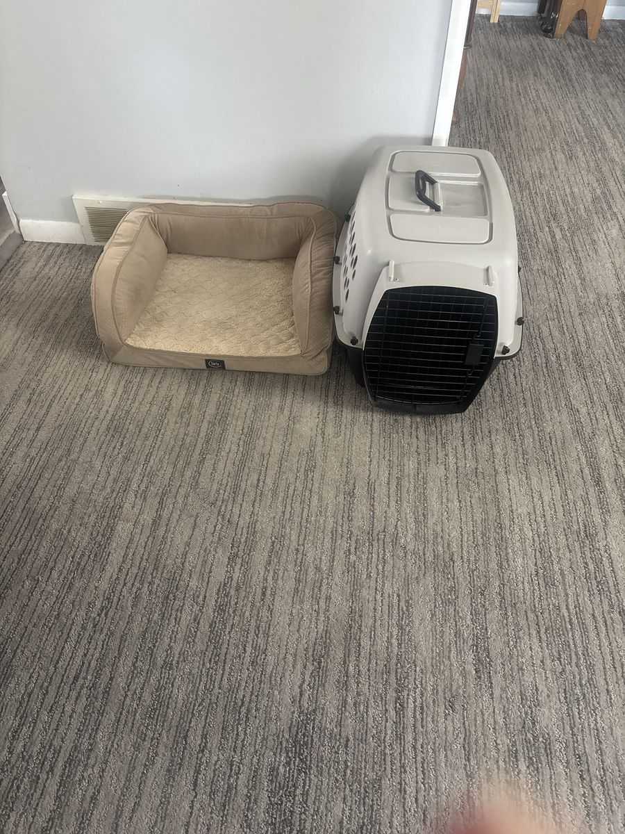 Used Pet Carrier & Dog Bed Combo - Ideal for Small Pets, Travel & Comfort