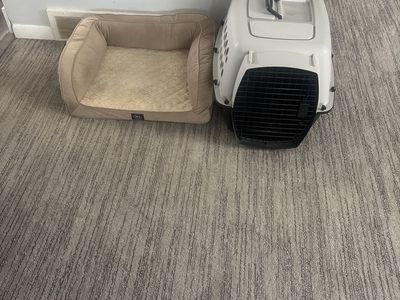 Used Pet Carrier & Dog Bed Combo - Ideal for Small Pets, Travel & Comfort