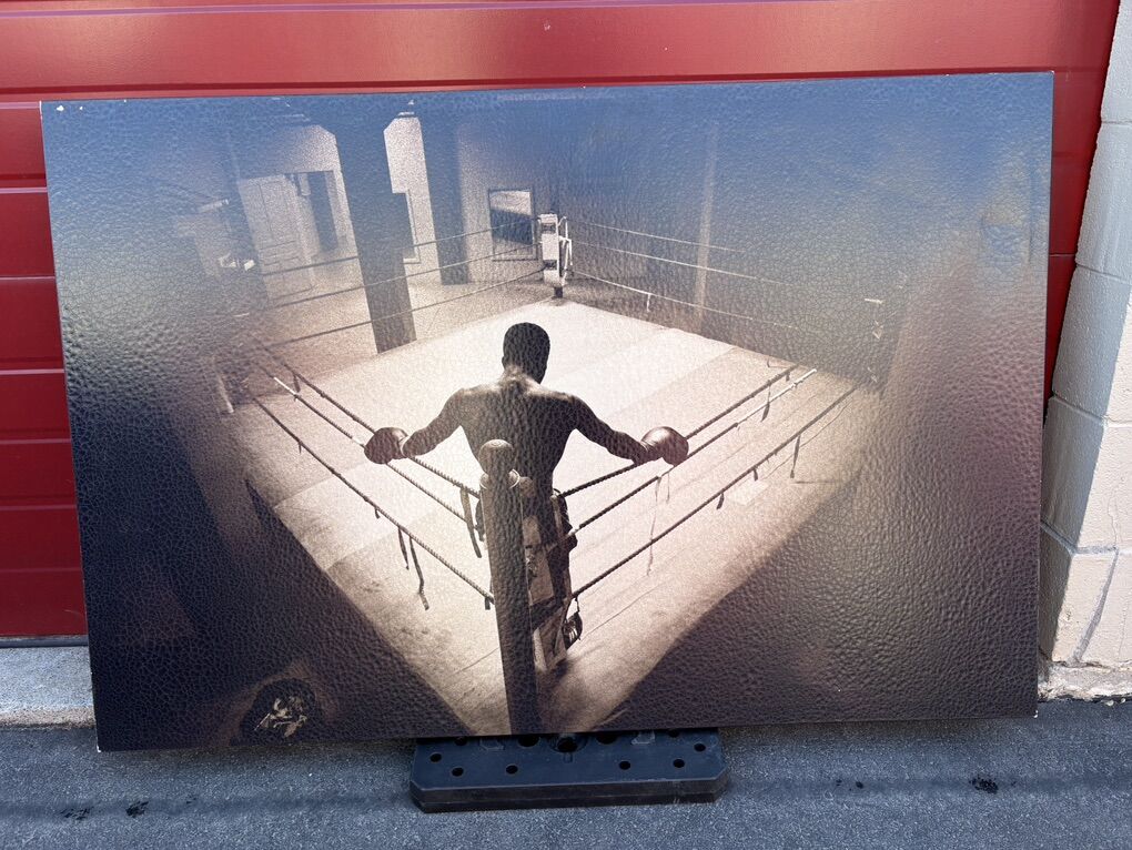 Z Gallerie – “The Boxer” Large Wall Art