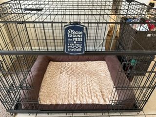 Dog kennel