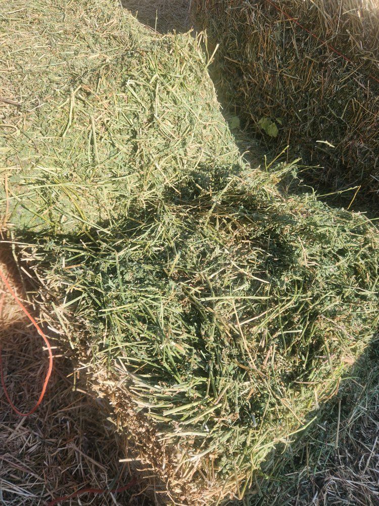 Main image 3