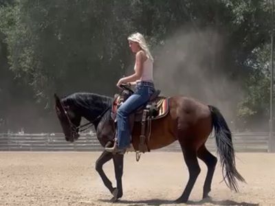 6 Year Old AQHA Mare