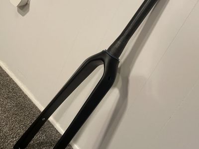 Carbon Fork, uncut, new, 12*100mm, 55mm tire clearance