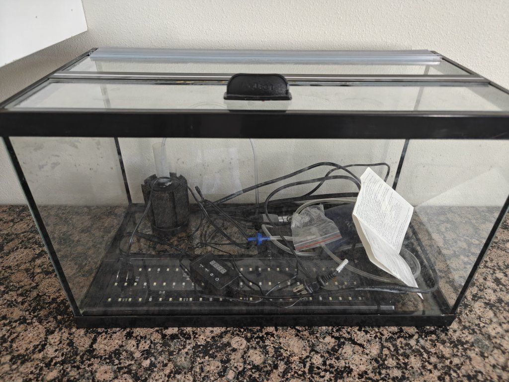 10 gallon aquarium setup