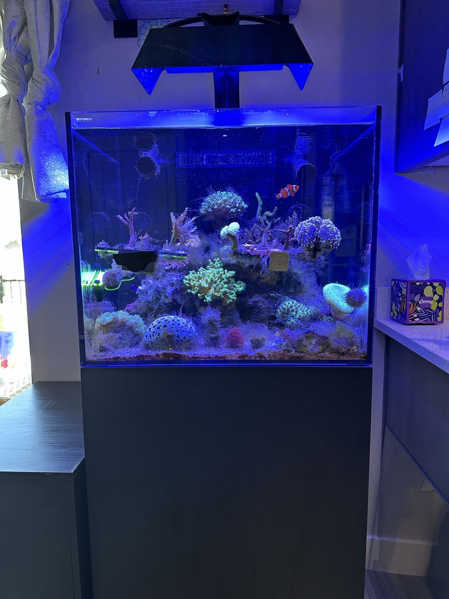 Waterbox Marine x60.2