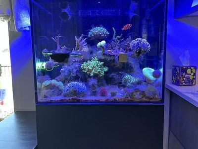 Waterbox Marine x60.2