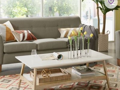 Madison Park Parker Mid-Century Coffee Table w/ Storage Shelf, 48" W, White/Natural