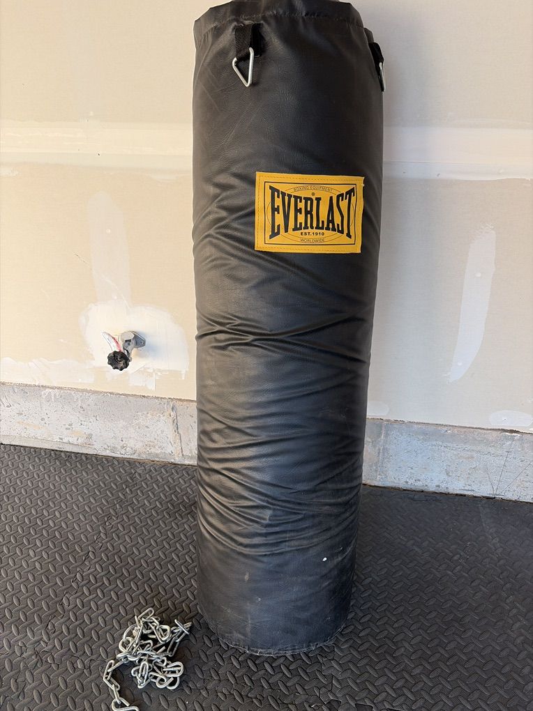 Punching Bag EverLast