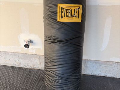 Punching Bag EverLast