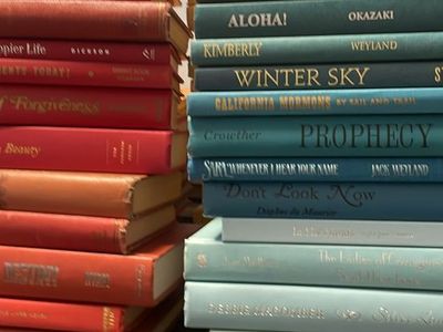 Rainbow books!