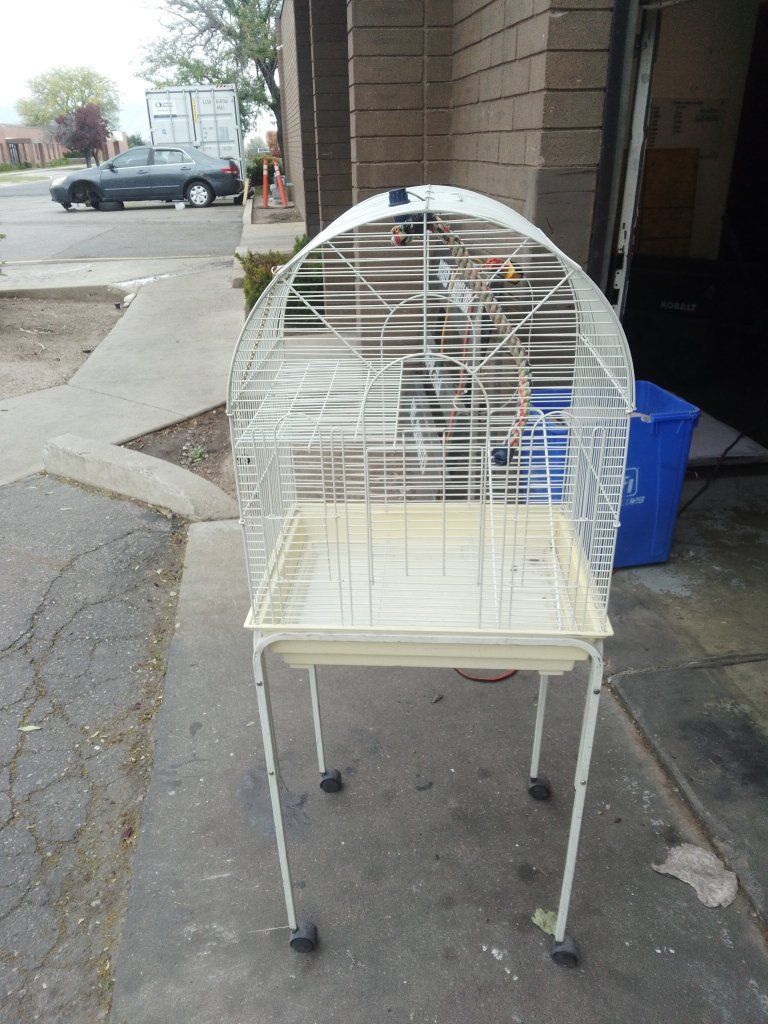 Birdcages