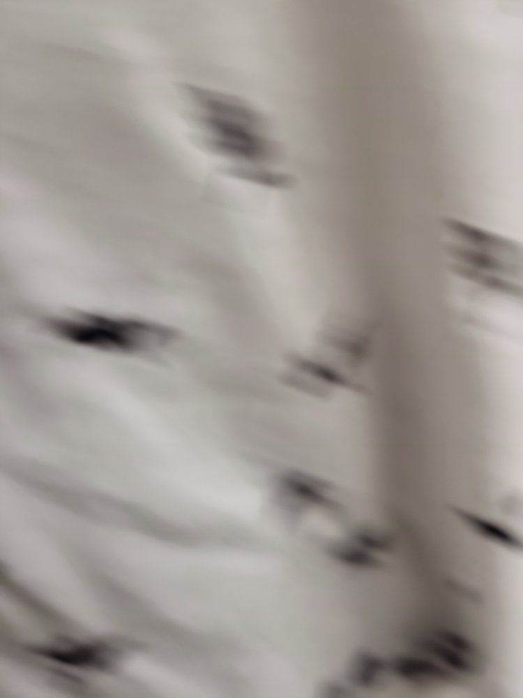 Main image 18