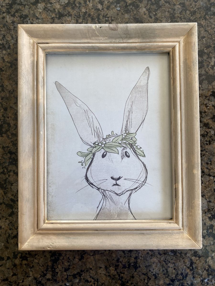Creative Co-Op Nicole Tamarin Framed Bunny Artwork in Distressed Wood Frame