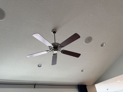 Brushed Nickel 5-Blade Indoor Ceiling Fan with Dark Wood Blades