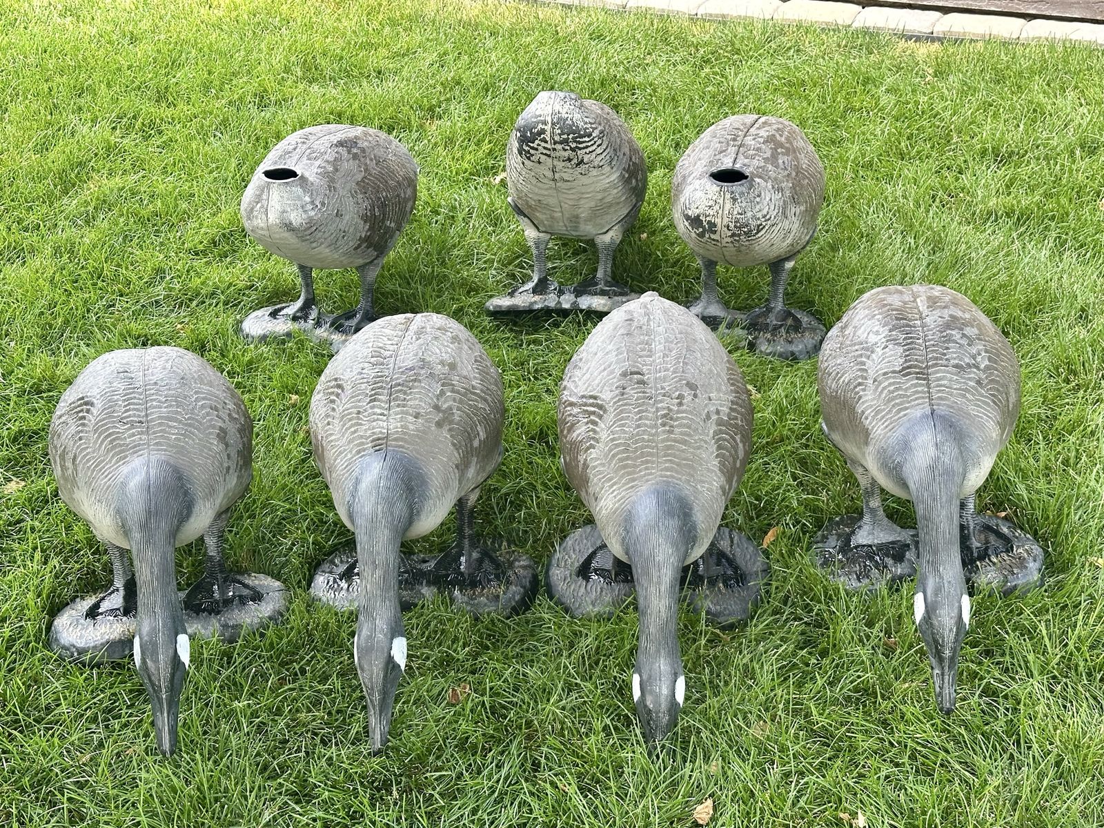 Big Foot Goose decoys