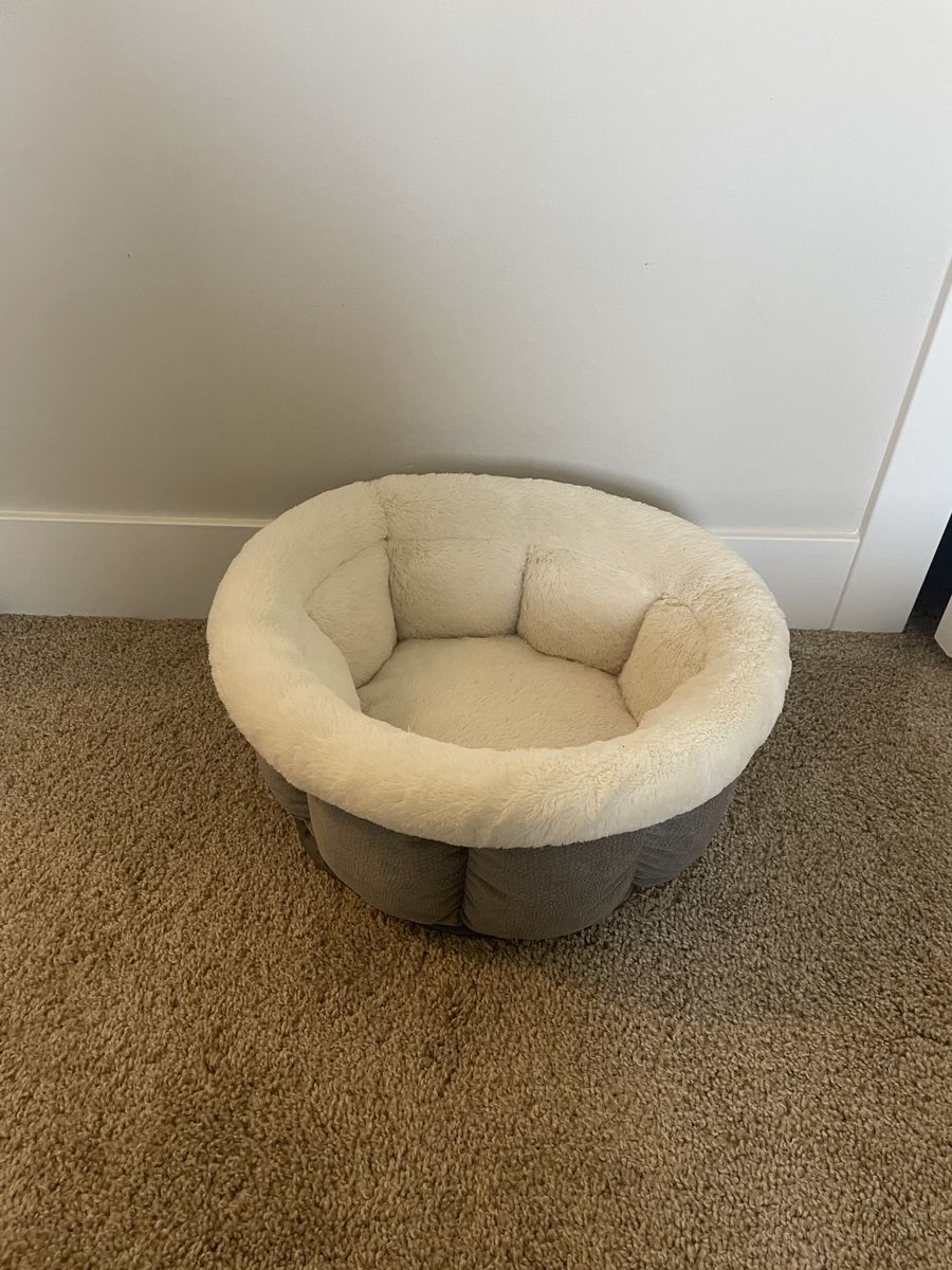 Small Dog Cat Pet Bed