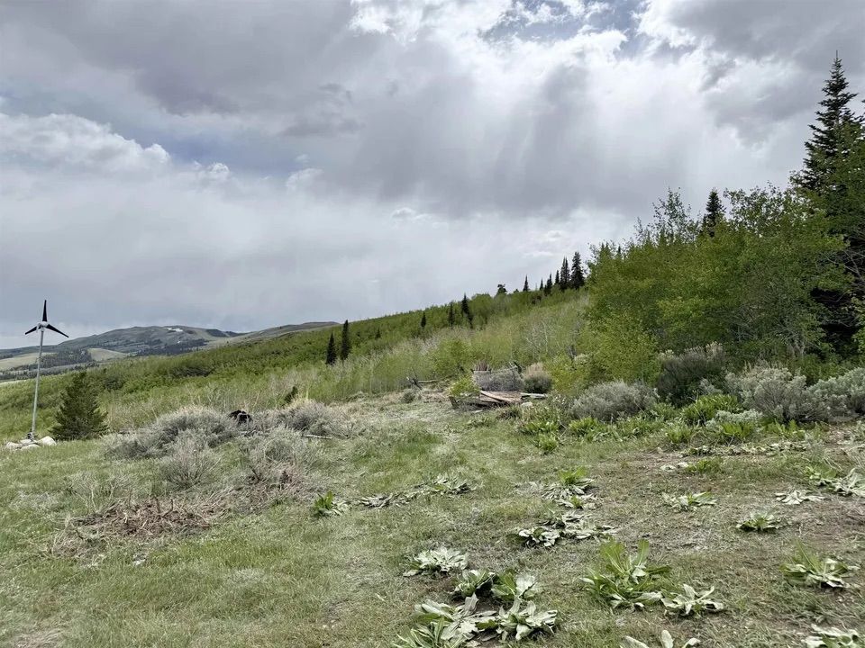 Main image 7