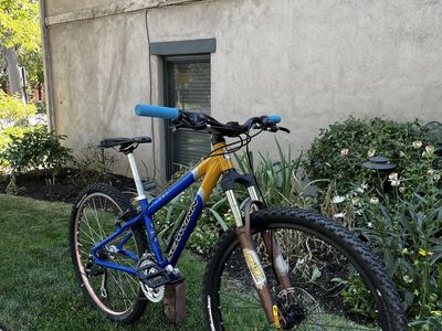 1999 Mountain Bike - Size S