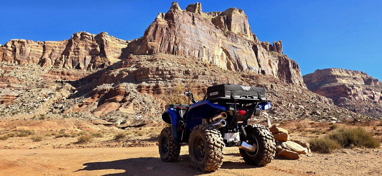 2008 Yamaha Grizzly 700