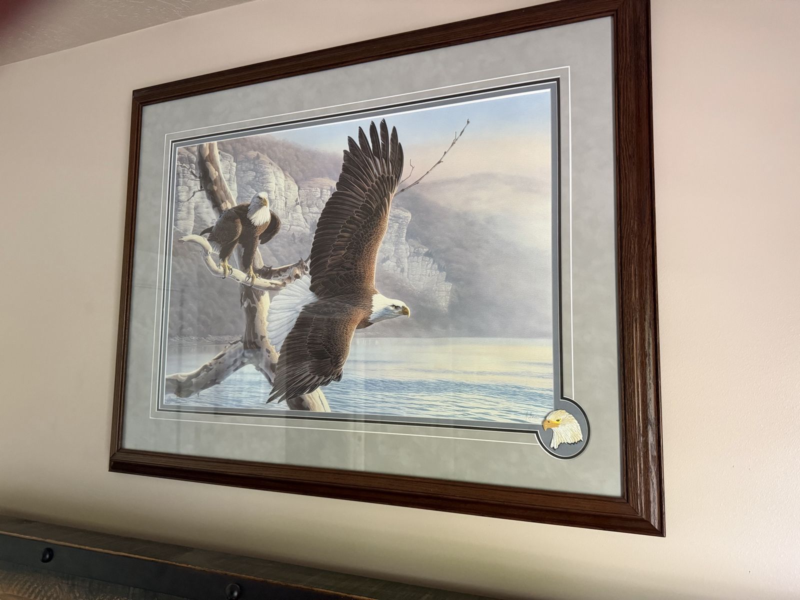 Set of 2 Framed Bald Eagle Art Prints. 