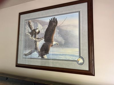 Set of 2 Framed Bald Eagle Art Prints.