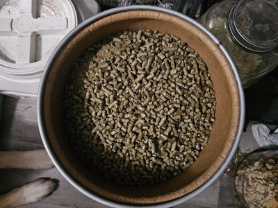 IFA Guinea Pig Pellets