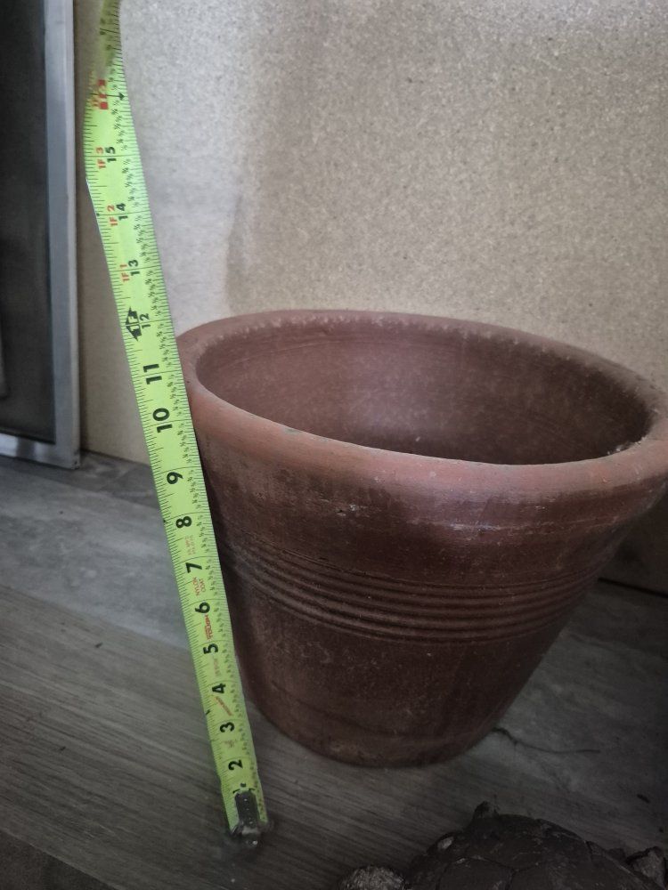 Main image 10