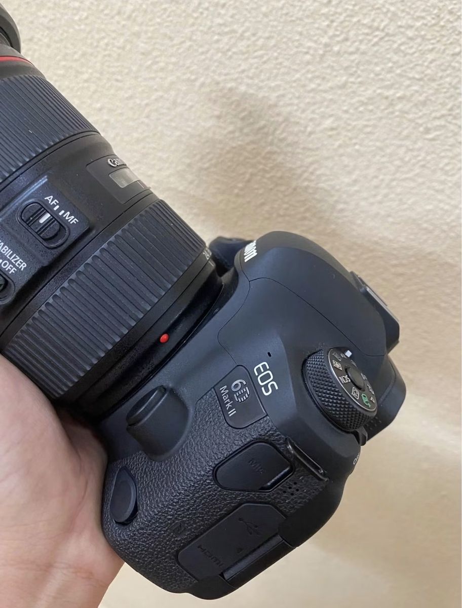 Canon 6d ii, 24-105mm f4 mark ii. 