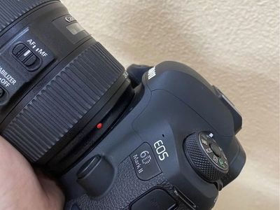 Canon 6d ii, 24-105mm f4 mark ii.